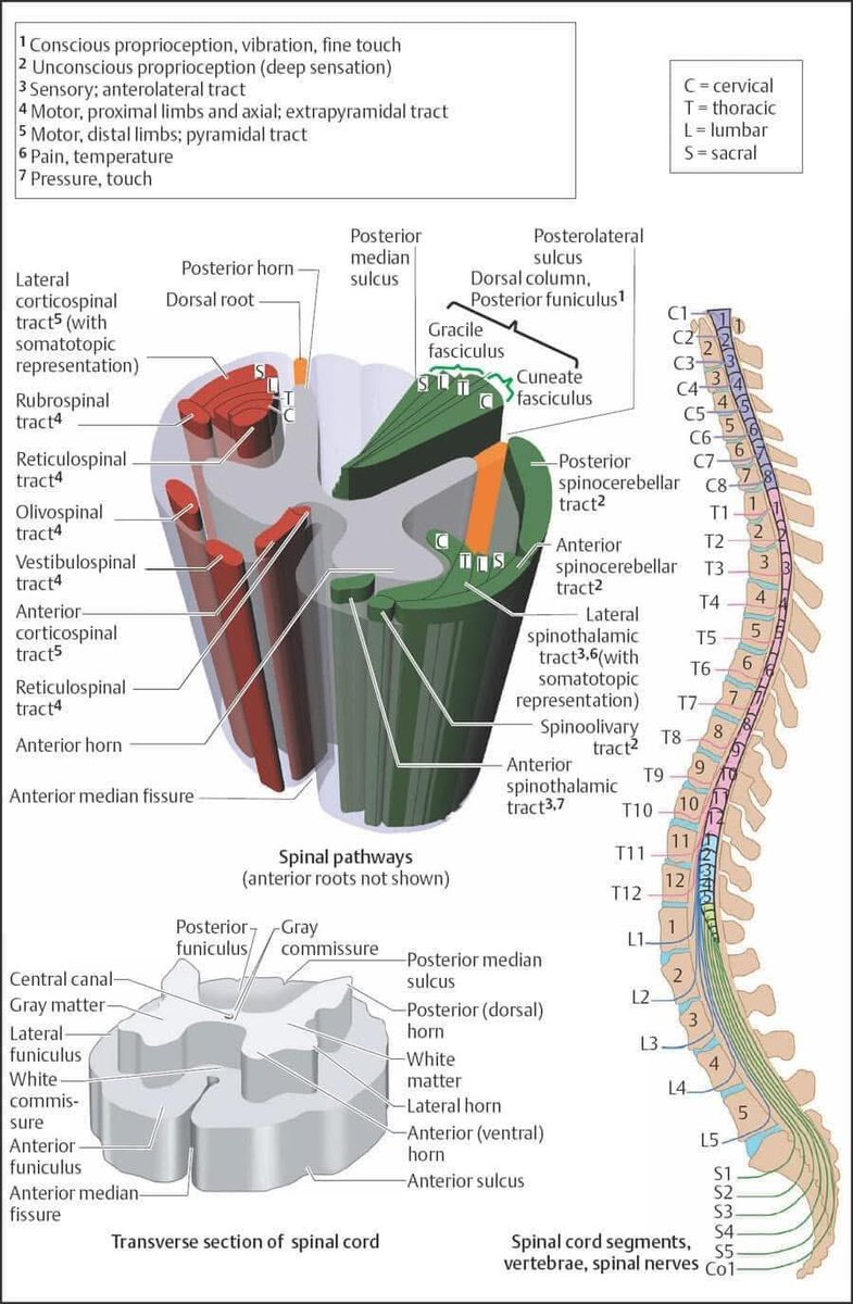 Abdullah Sulieman Terkawi, MD, MS(Epi) tweet media