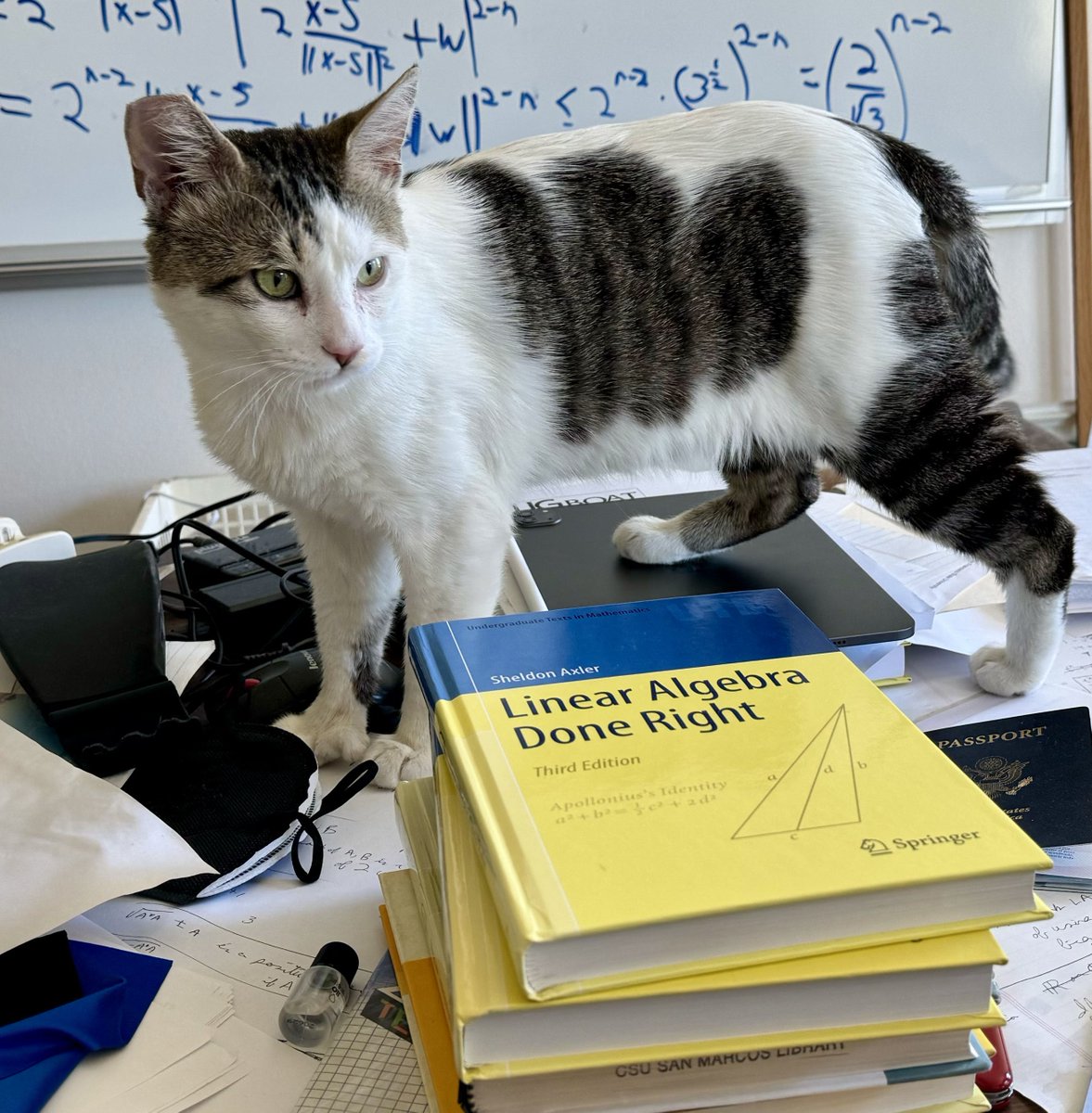 If you are interested in linear algebra and will be at JMM in DC, consider coming to my talk on Tuesday, January 6, at 1 pm. Location and abstract for the talk are available at meetings.ams.org/math/jmm2026/m….
#linearalgebra