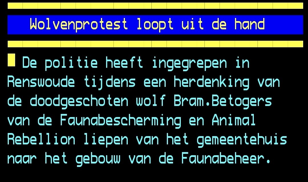 tosti_Richard's tweet photo. Dit land is toch helemaal naar de tyfus als je godverdomme als je al een dode wolf moet gaan herdenken? Welke mislukte mensen doen hier toch aan mee? Donder toch een end op aan ga wat nuttigs doen met je leven. #wolf #Bram #wolfbram https://t.co/ZUZrUdGi0G