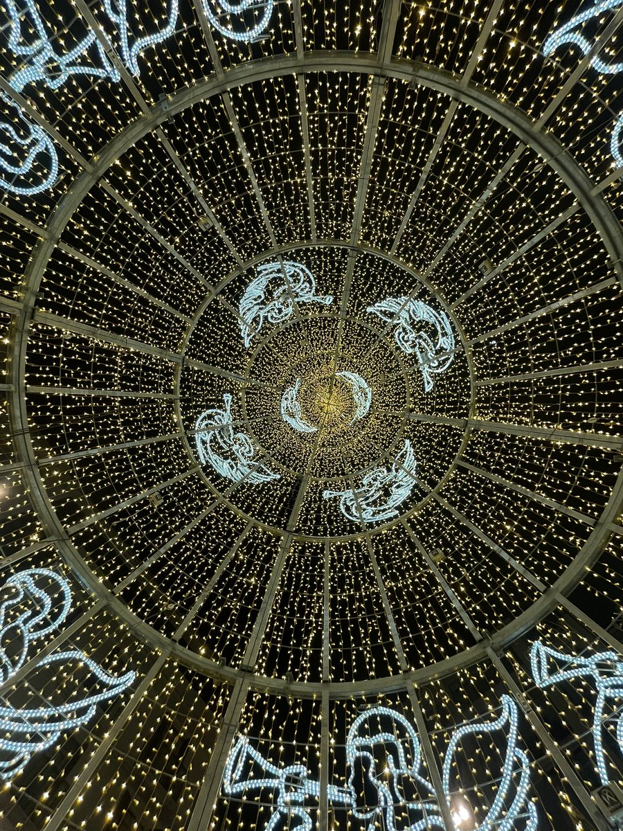 Javier Joya 🎬 tweet media