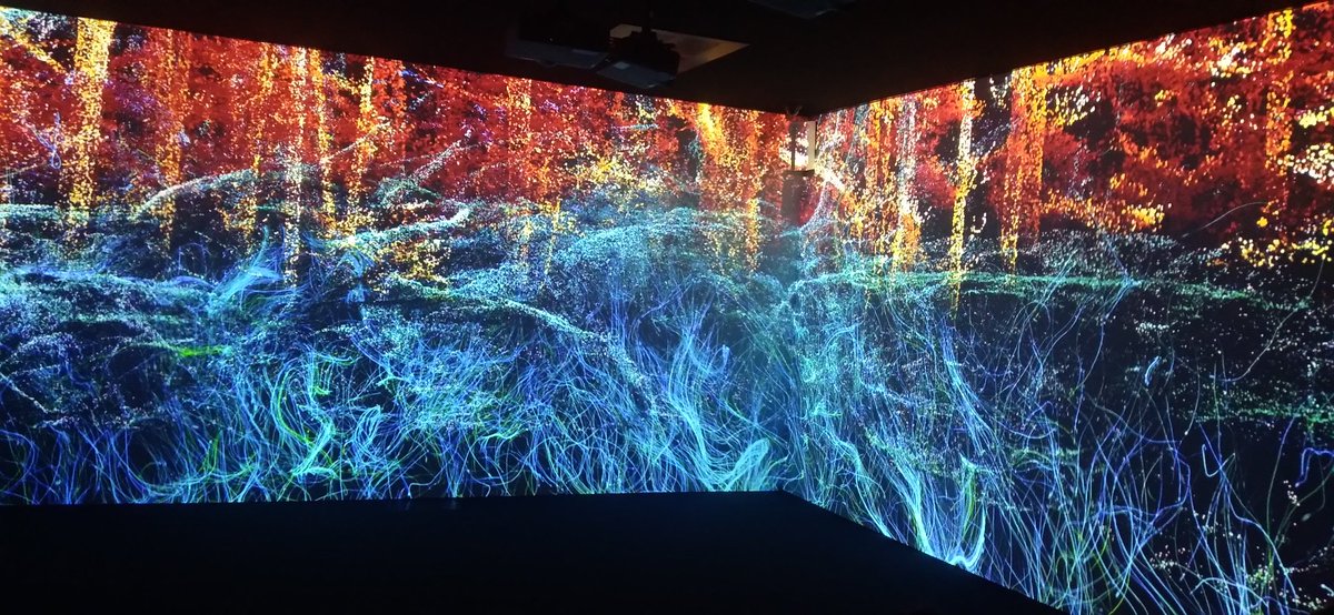 Jaume Vendrell tweet media