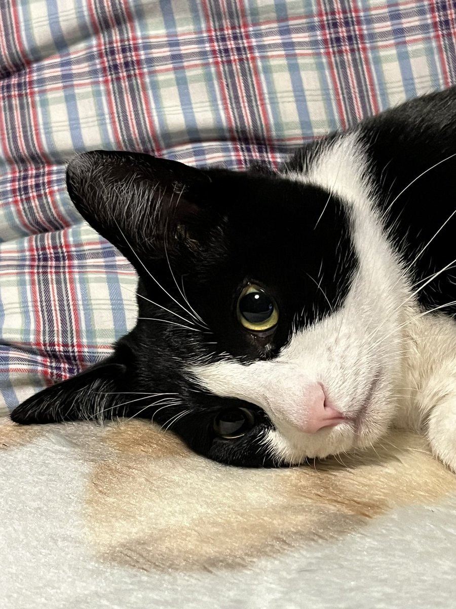 各局、おはようございます。
今週もよろしくお願いします🙇