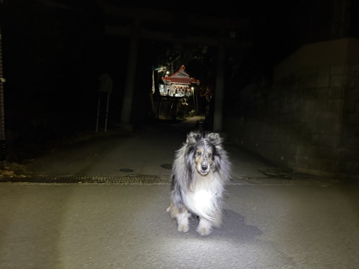 雲あるけど、晴れだな 何枚か撮ったけど全部ボケボケだわ💦 #今朝の