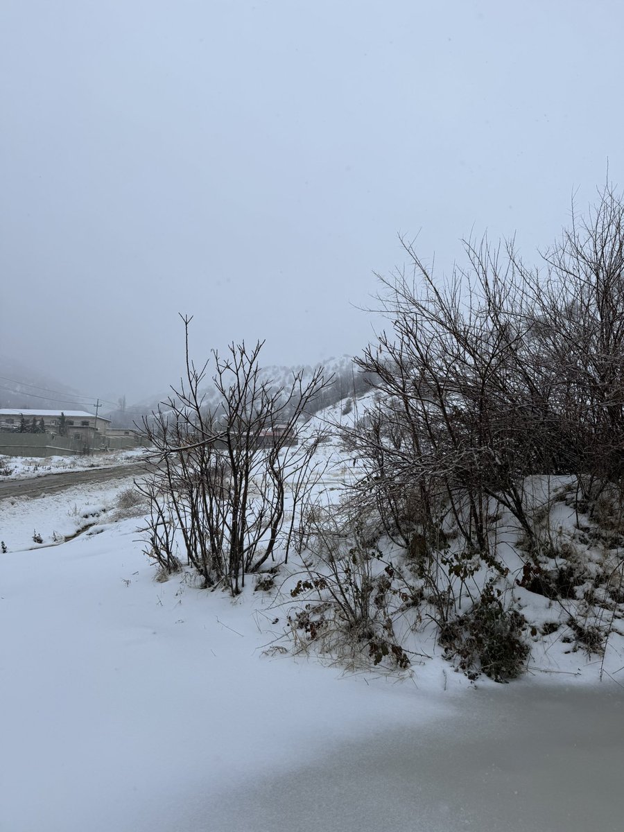 محمد جواد 🫆 || ١٤١٧ هَـ tweet media