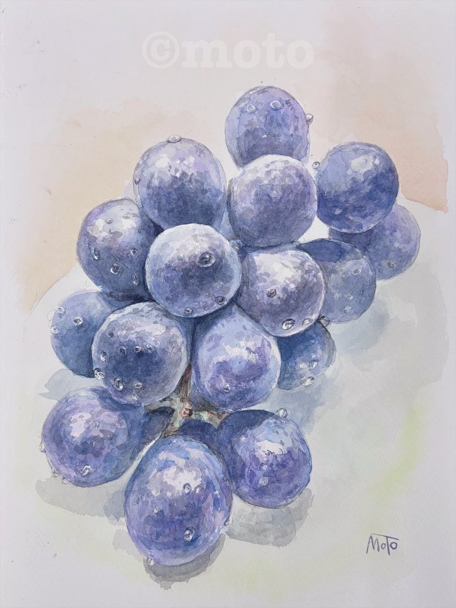今年描いた作品を振り返ります♪ 『 ピオーネ 』 再掲 透明水彩