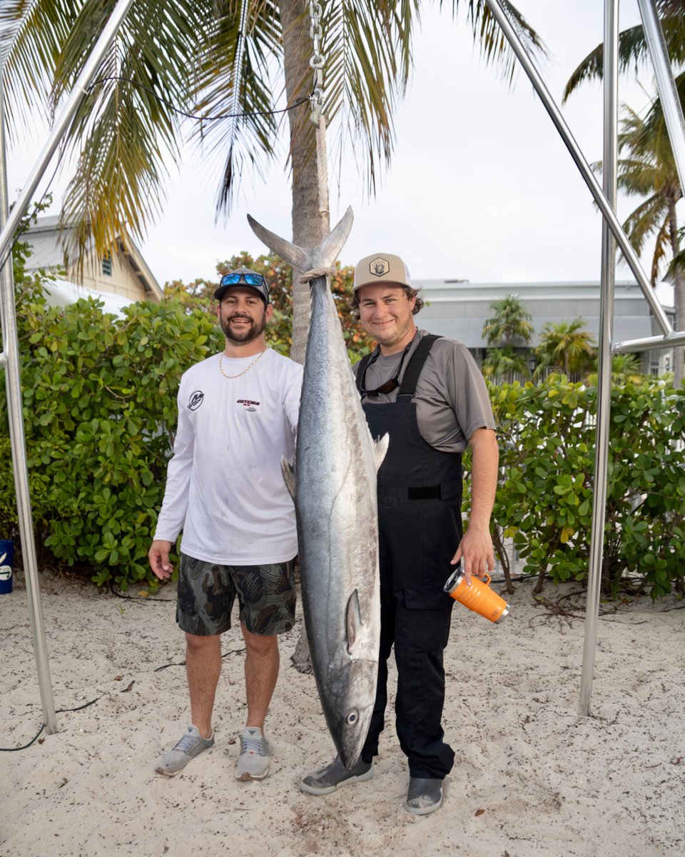 fishkingmaster's tweet photo. Don't show up to the scales empty handed 😉🎣💰@thefloridakeys https://t.co/bH0SNOUJ9R