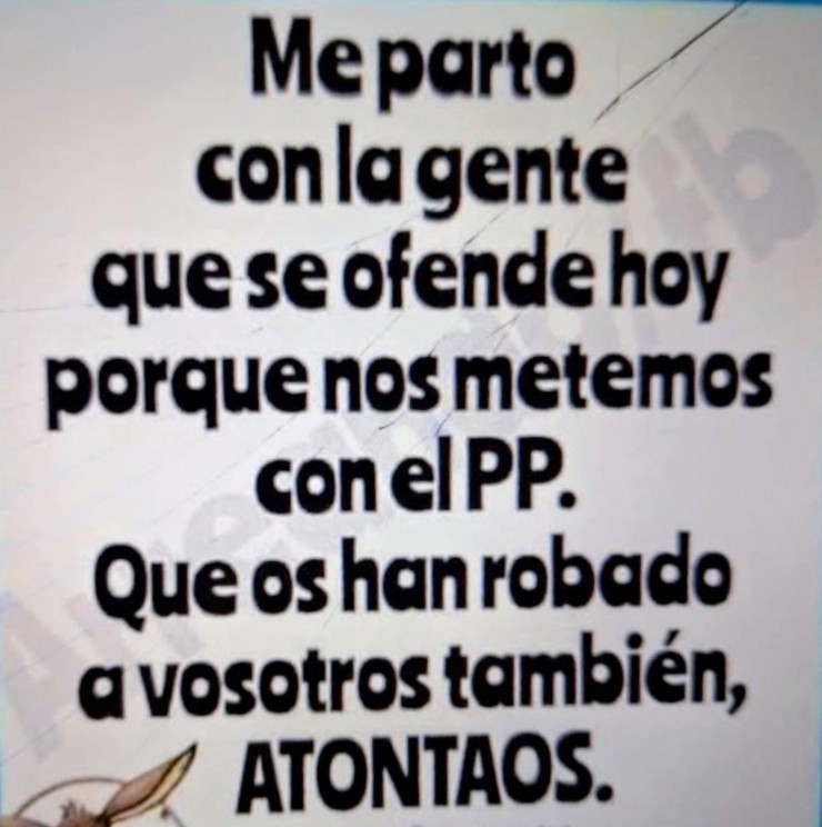 nefeerr's tweet image. #PP