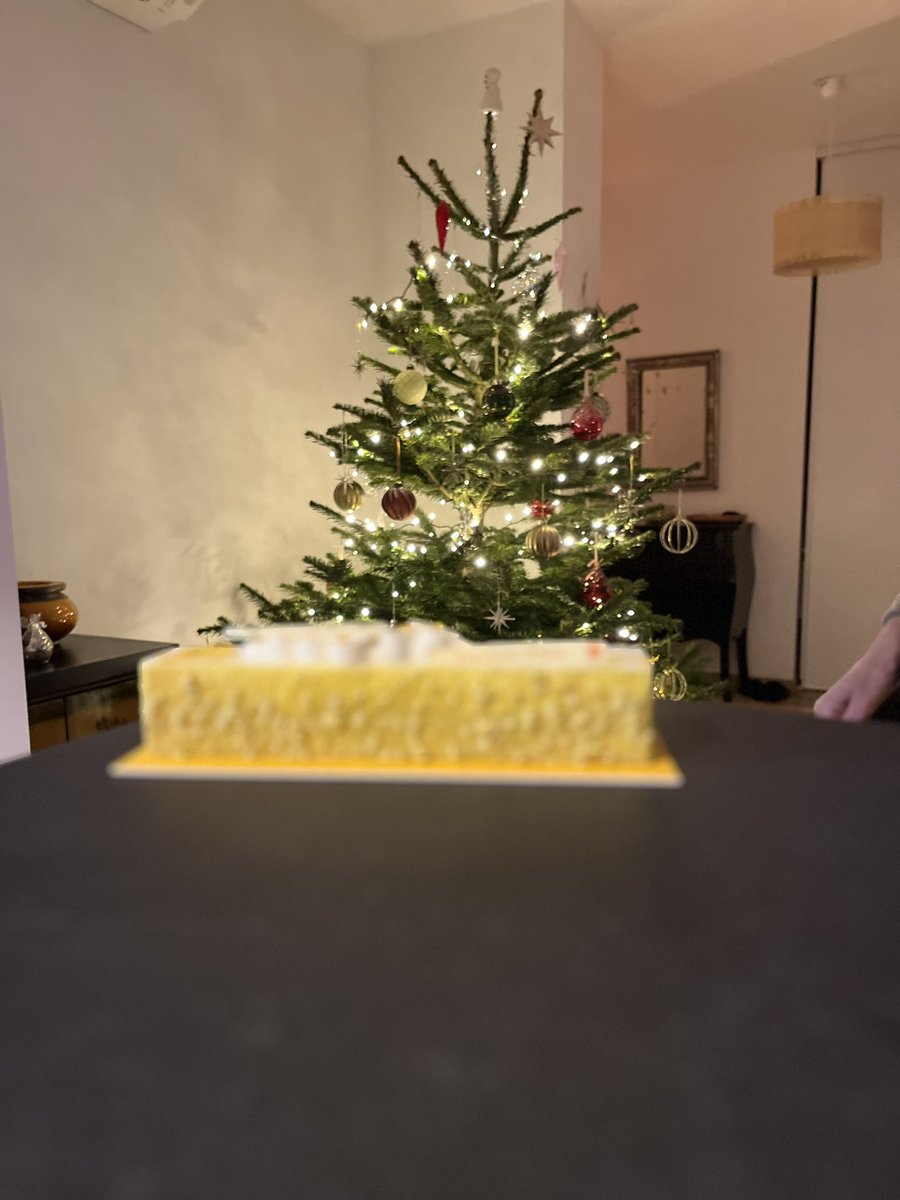 bedelfr's tweet photo. Bûche de Noël - Mulhaupt https://t.co/FDDdnEGZFr