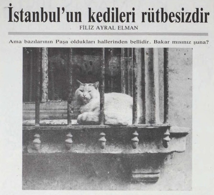 İstanbul’un Kedileri Rütbesizdir

“Bu bir İstanbul kedisidir. Şehrine uygun kedi böyle olur işte: Keyif yapmayı bildiği gibi cenk etmeyi de bilir. Ne depremden korkar ne de geceden, köpeklerden hiç… Köpekler ondan korksun!”

Filiz Ayral Elman - Nisan 1991