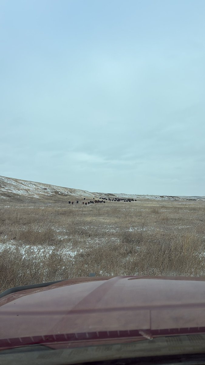 JP Farm and Ranch tweet media