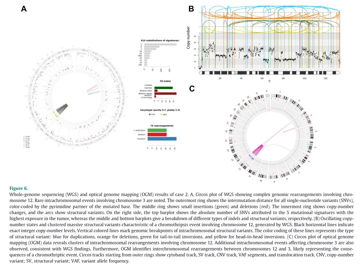 Konstantinos LinosMD tweet media