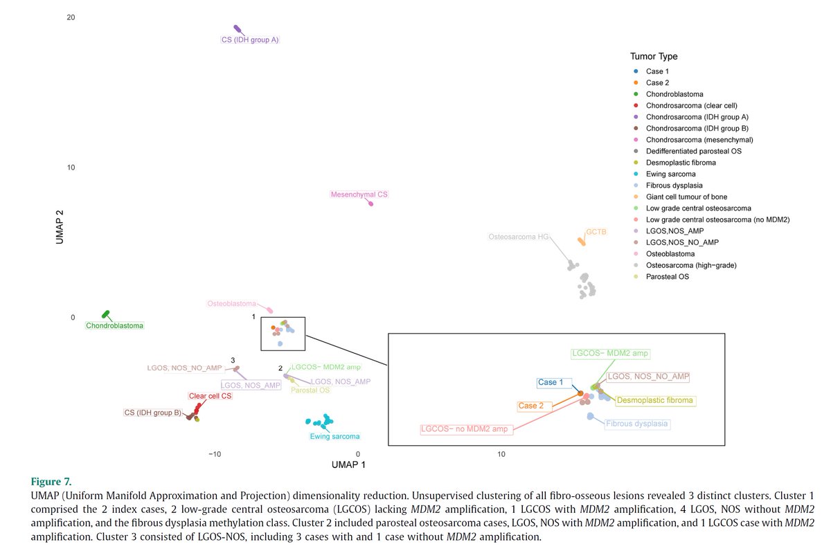 Konstantinos LinosMD tweet media