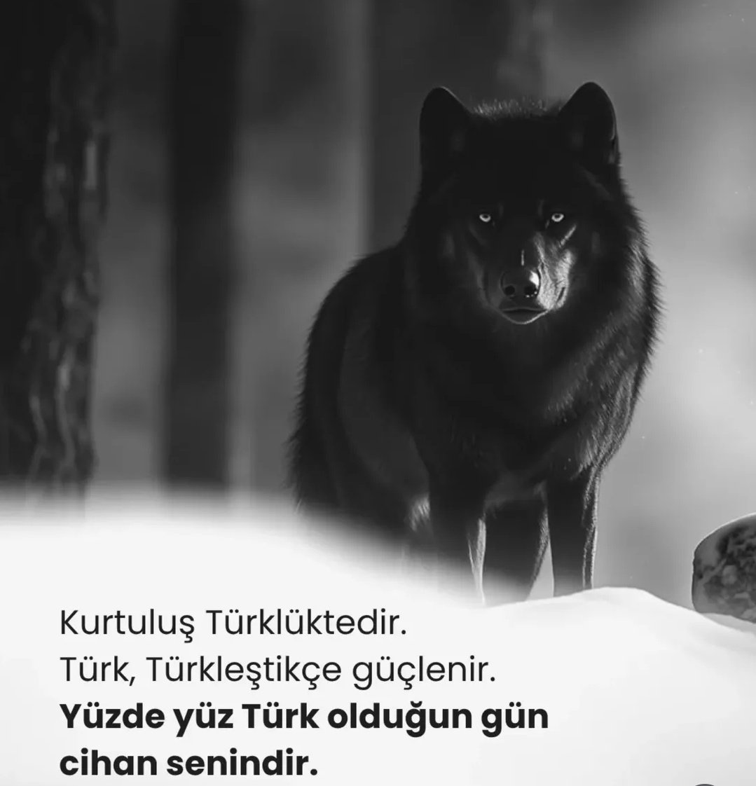 🇹🇷BerkanKıratlı23 (@berkankiratli23) on Twitter photo 