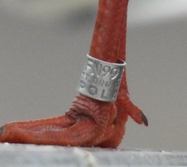 Sam Bayley tweet media