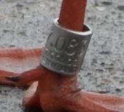 Sam Bayley tweet media