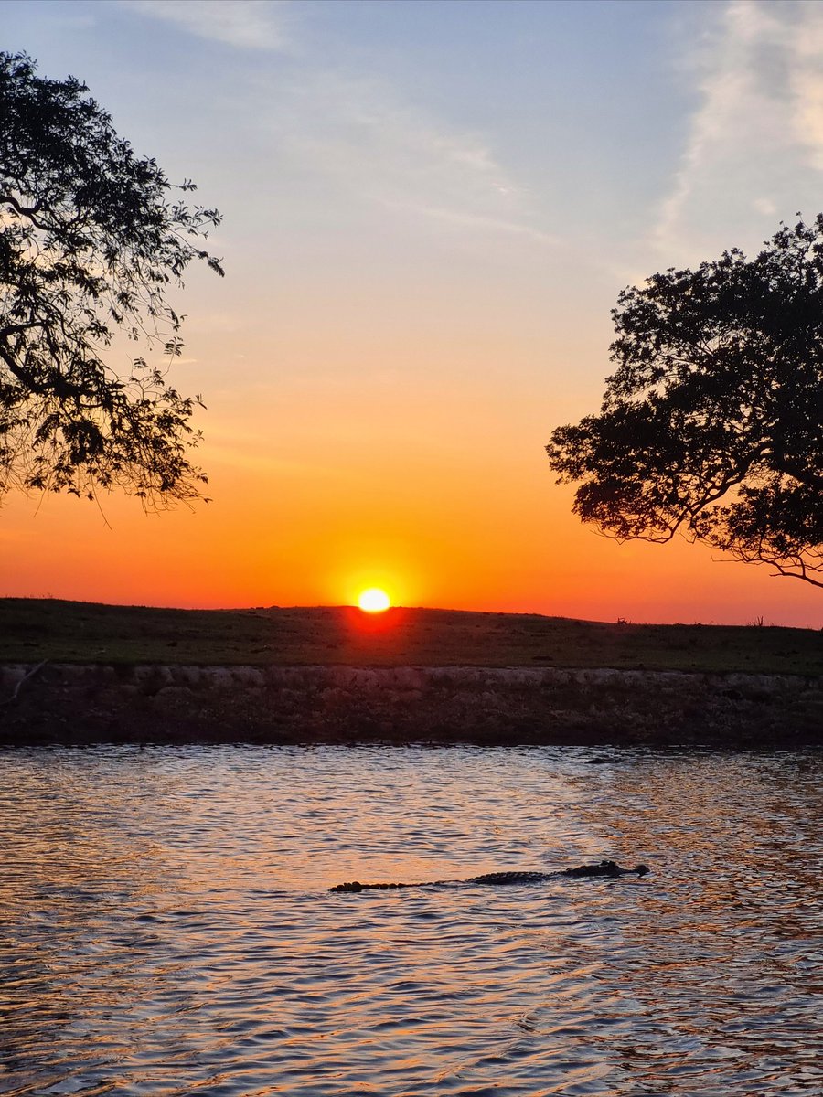 CrisCisnerosH's tweet photo. Atardecer en el llano casanareño  #Casanare #Colombia https://t.co/DBlblPwoW4