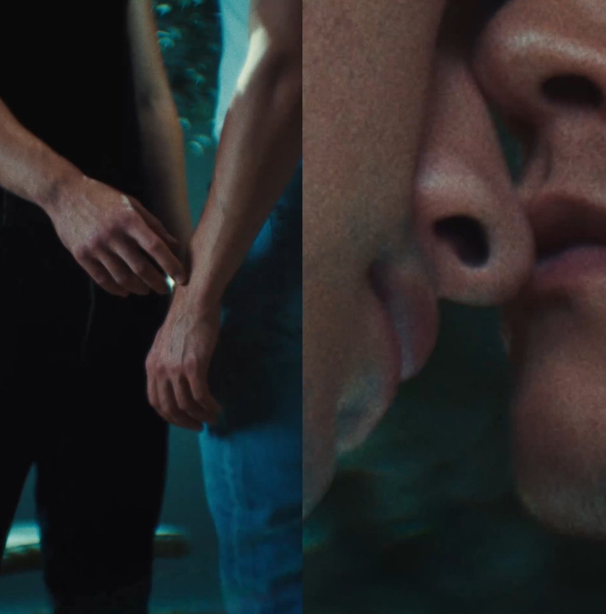 i'm already going feral