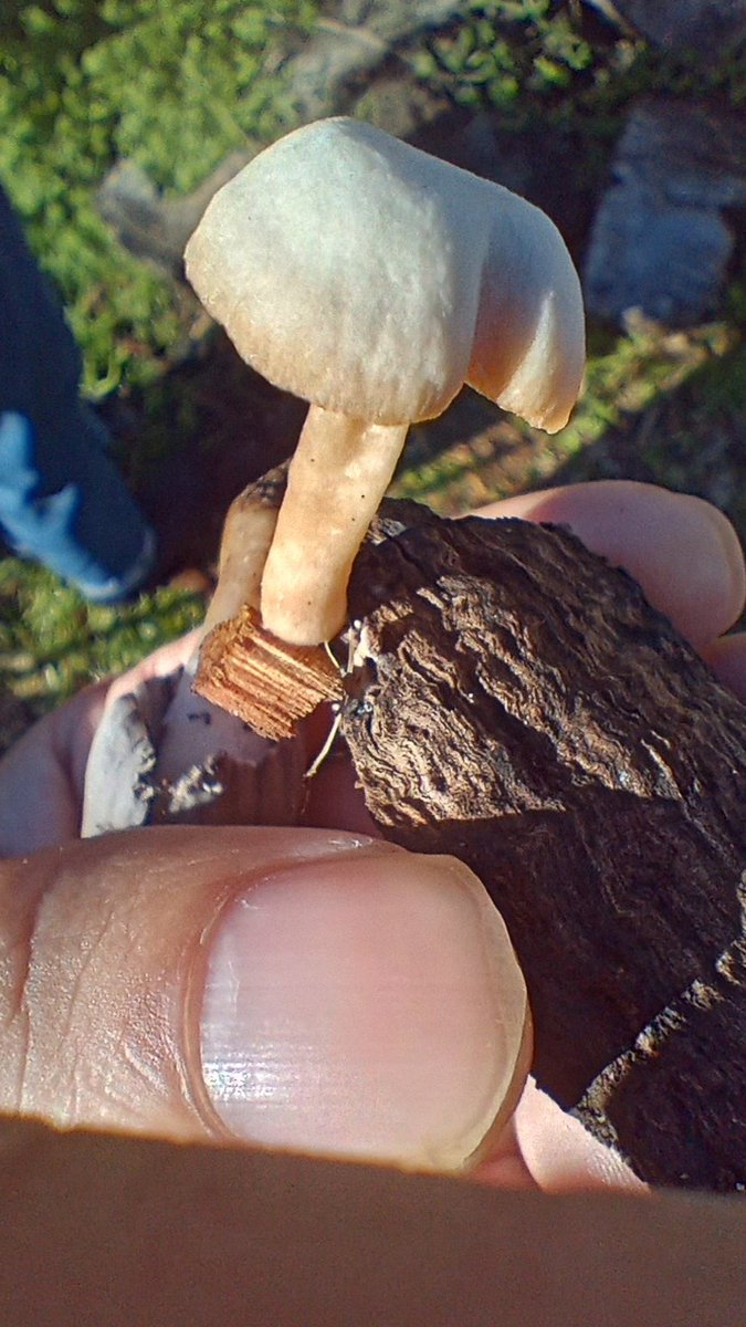 powerful masher tweet media