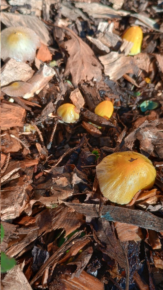 powerful masher tweet media