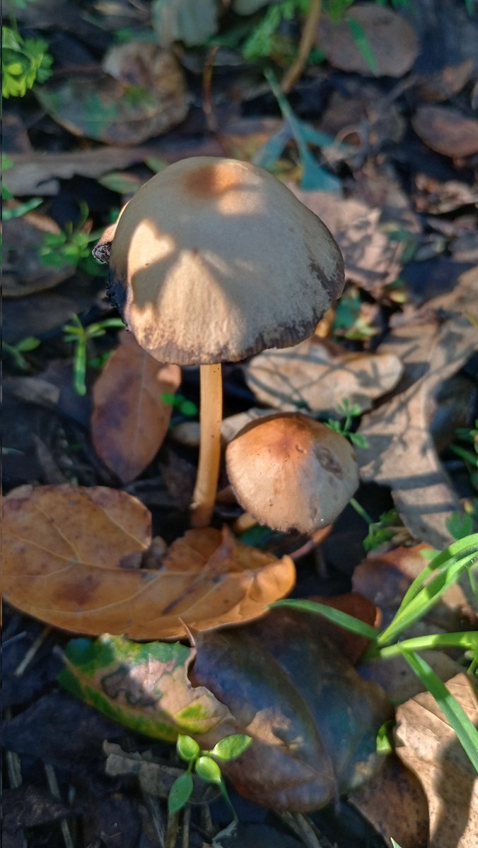 powerful masher tweet media