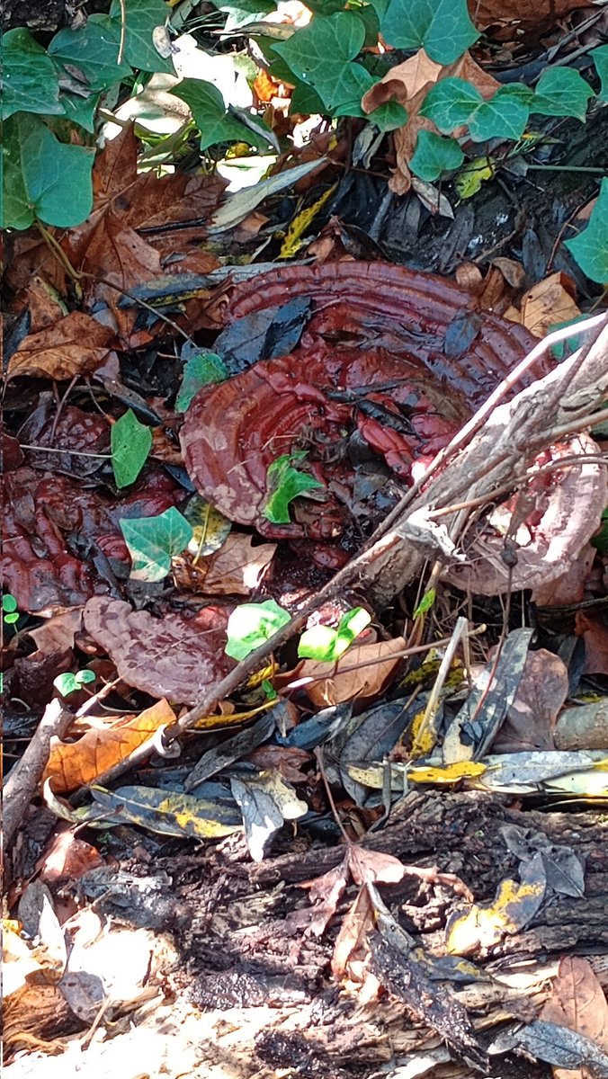 powerful masher tweet media