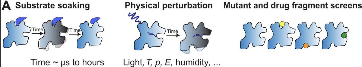 Jack Greisman tweet media
