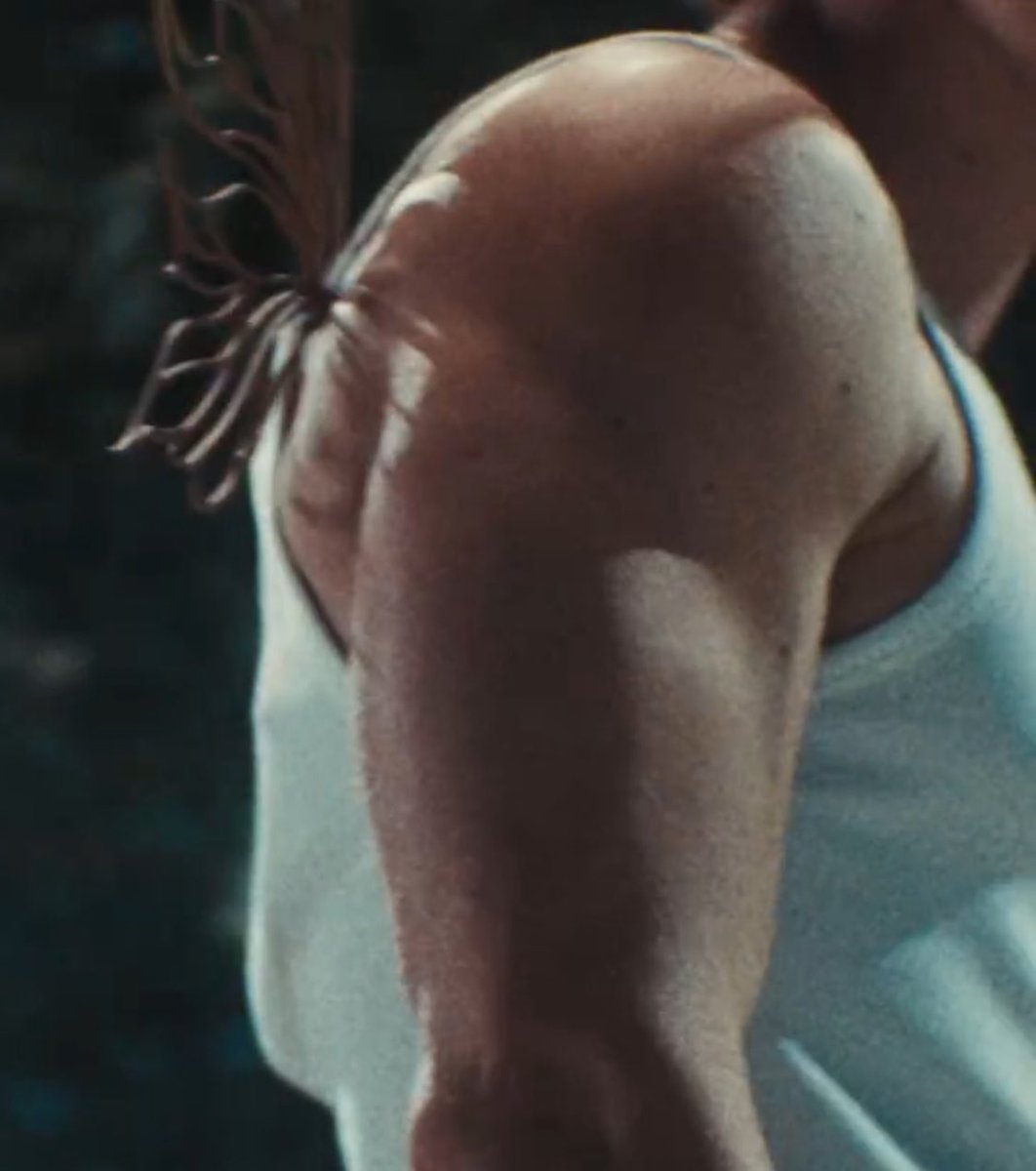 chloeshollander's tweet image. omg they’re fairys