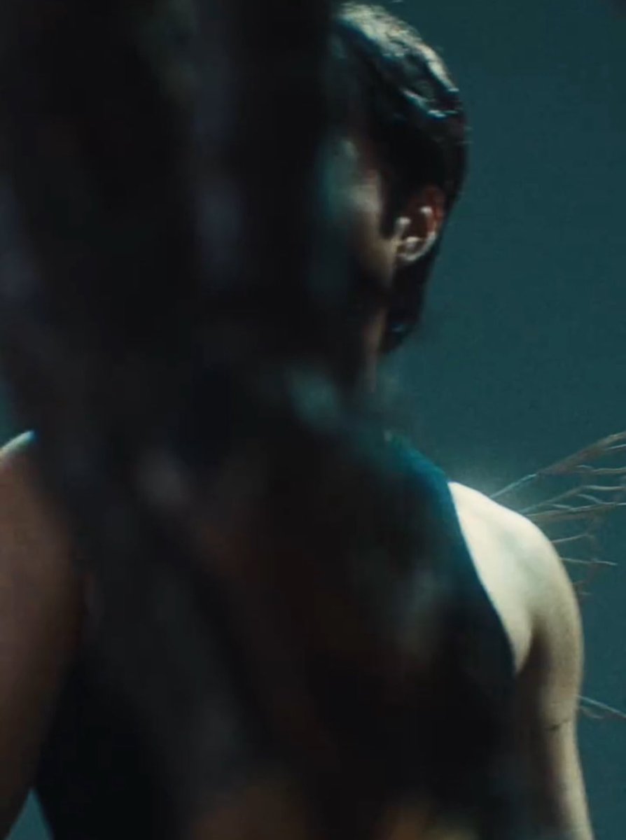 chloeshollander's tweet image. omg they’re fairys