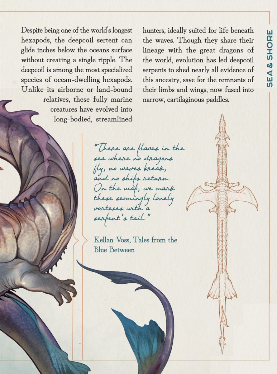 "There are places in the sea where no dragons fly, no waves break, and no ships return. On the map, we mark these lonely expanses with a serpent's tail, and all is understood."
Dragonatomy Available here - a 220+ page scientific guide to dragons and their many descendants