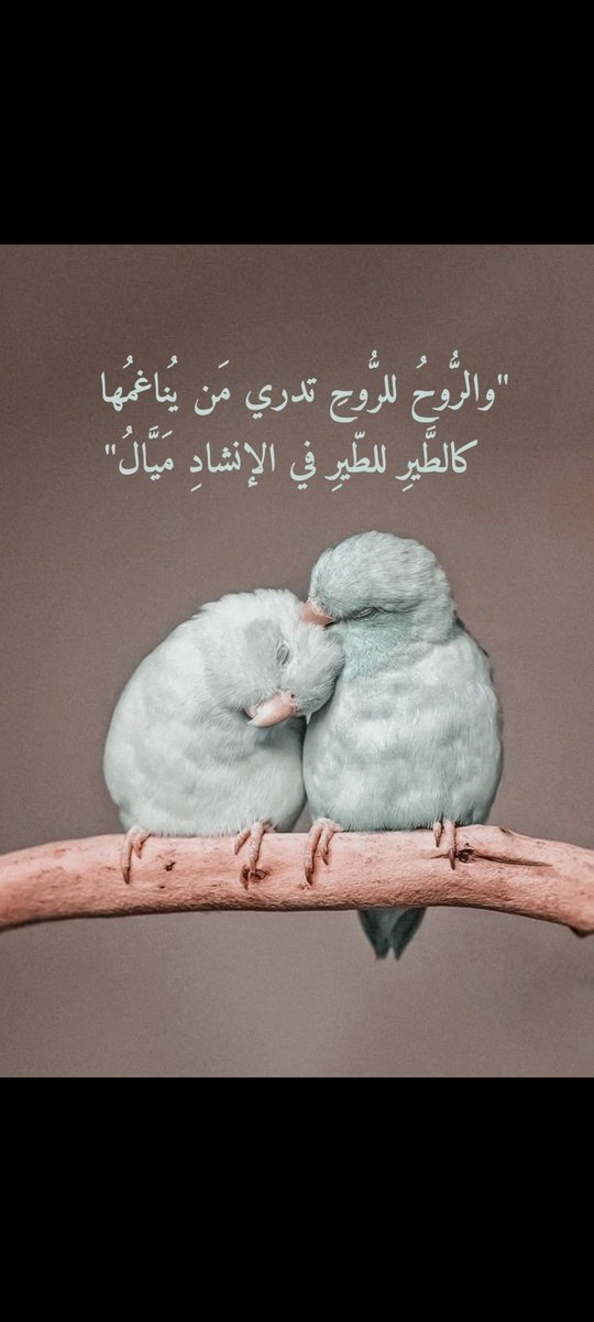 squer_majid's tweet photo. سيدةُ القلب 🕯 :

نُدبَ القلبُ ، لكن عهدًا عليه - كان ولازال- أن يموتَ لأجلكِ ، أو يموتَ معكِ ، ف كلا الكافَين لكِ ** أنتٍ ** ، لا لسواك ..   

" الخيارُ الأبدي " ... https://t.co/0CUO5cFcea