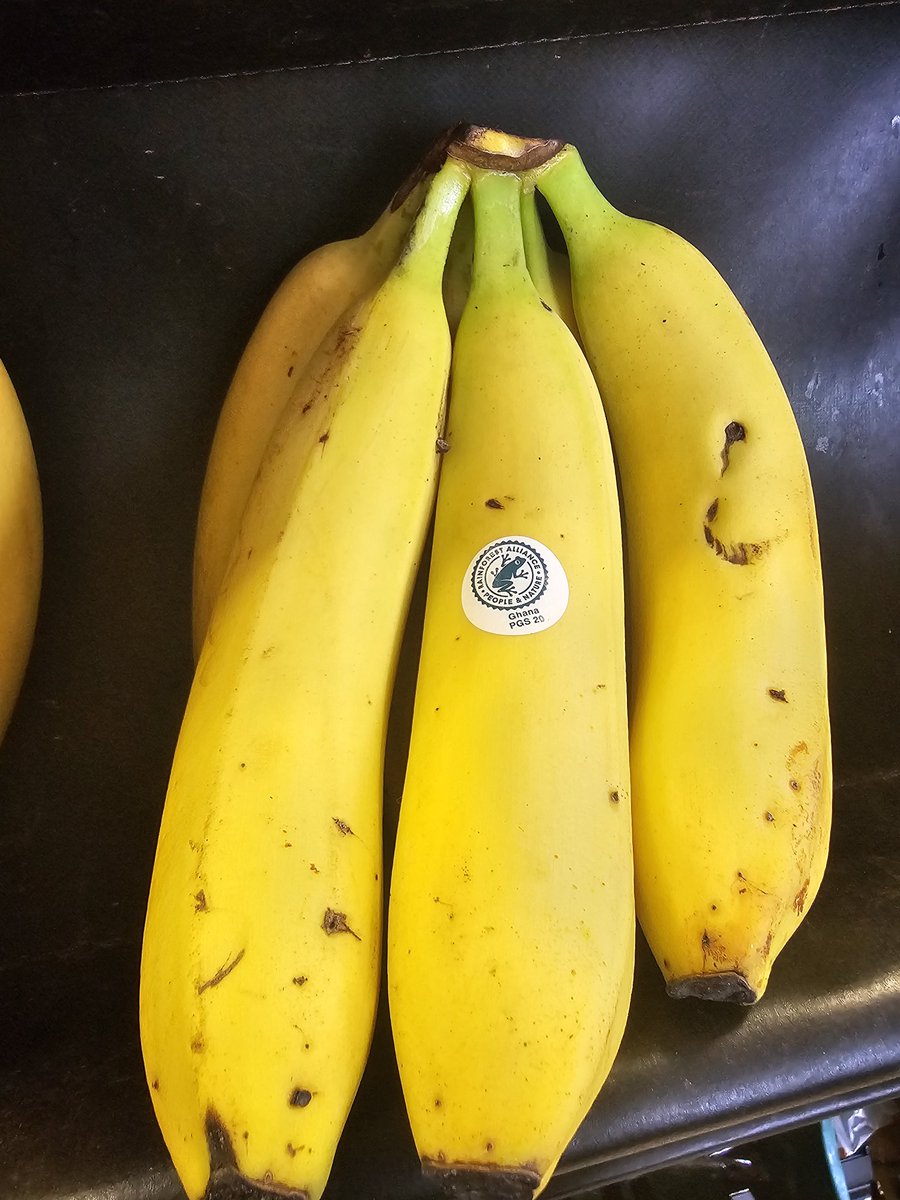 Toyyib Adewale Adelodun tweet media