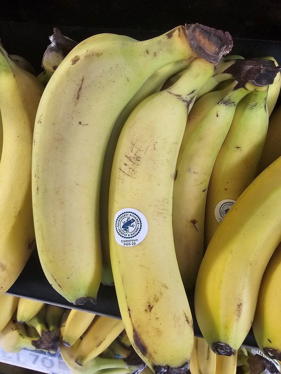 Toyyib Adewale Adelodun tweet media