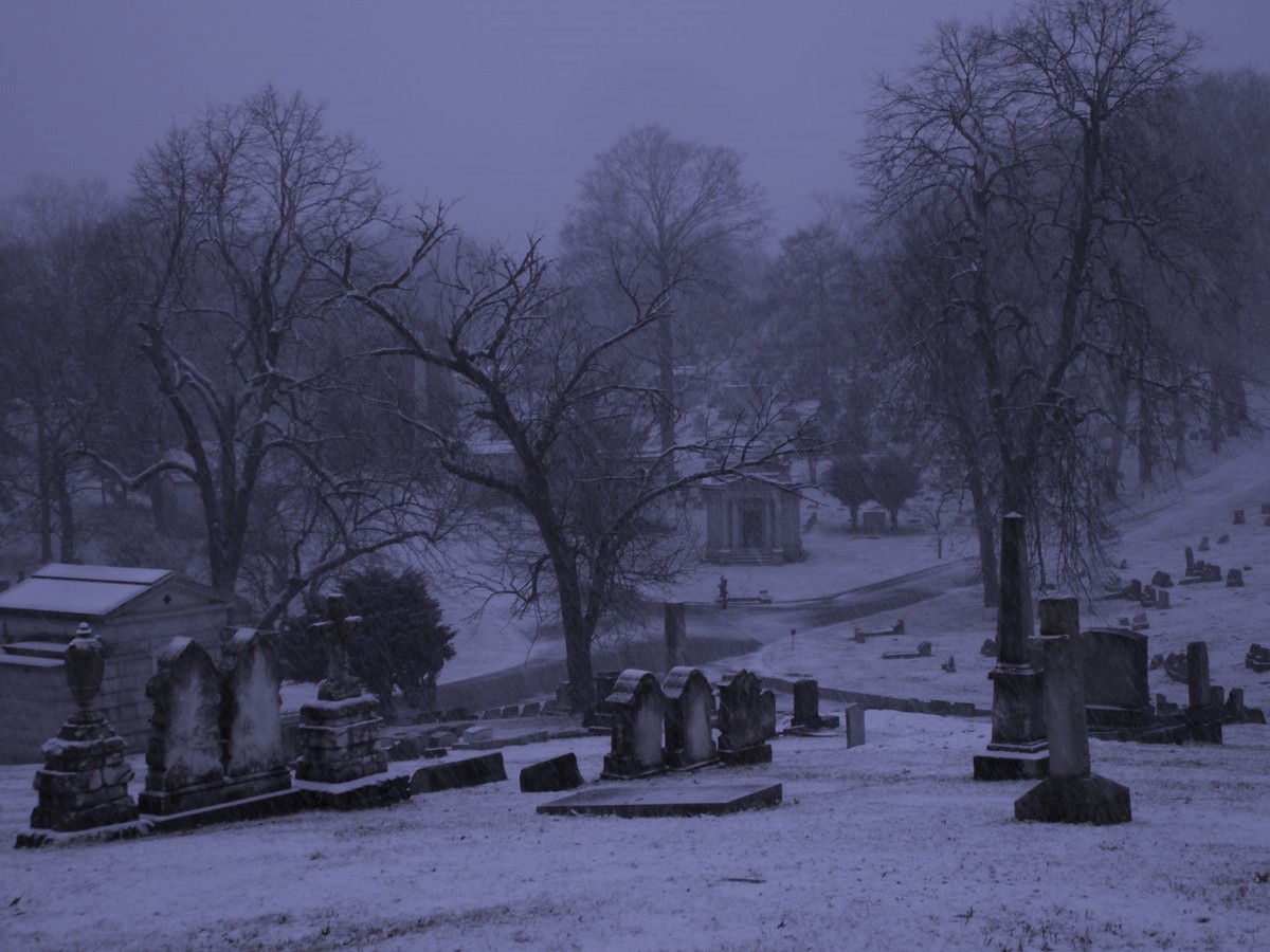 hakaelll's tweet image. 