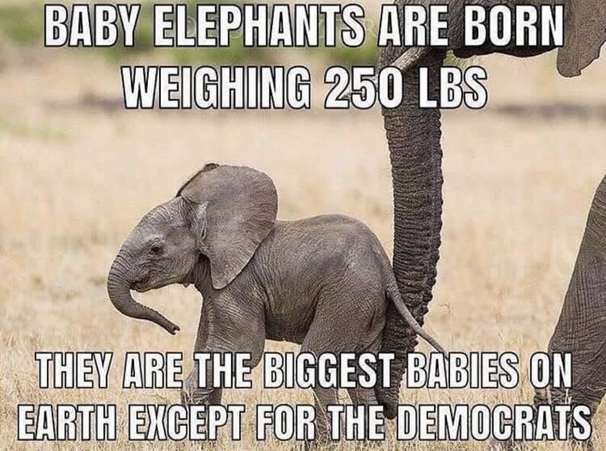 Sarah Sizzle tweet media