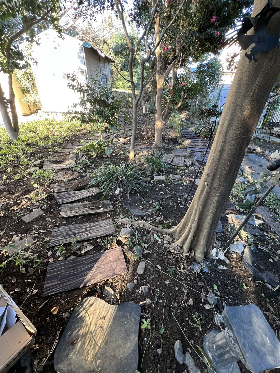 Chu2Garden's tweet photo. 〜ʕ•ᴥ•ʔ{レサです！厨二病庭園の内側のお掃除をしました！ https://t.co/rHb4lHGAnC
