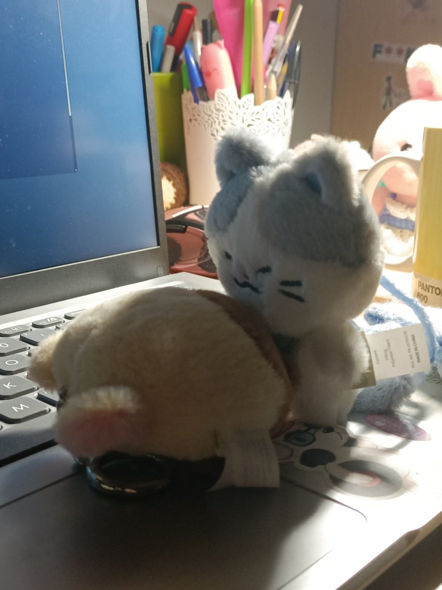 kkyuupingg's tweet photo. oh, bottomsung https://t.co/ayTxvhnYRx