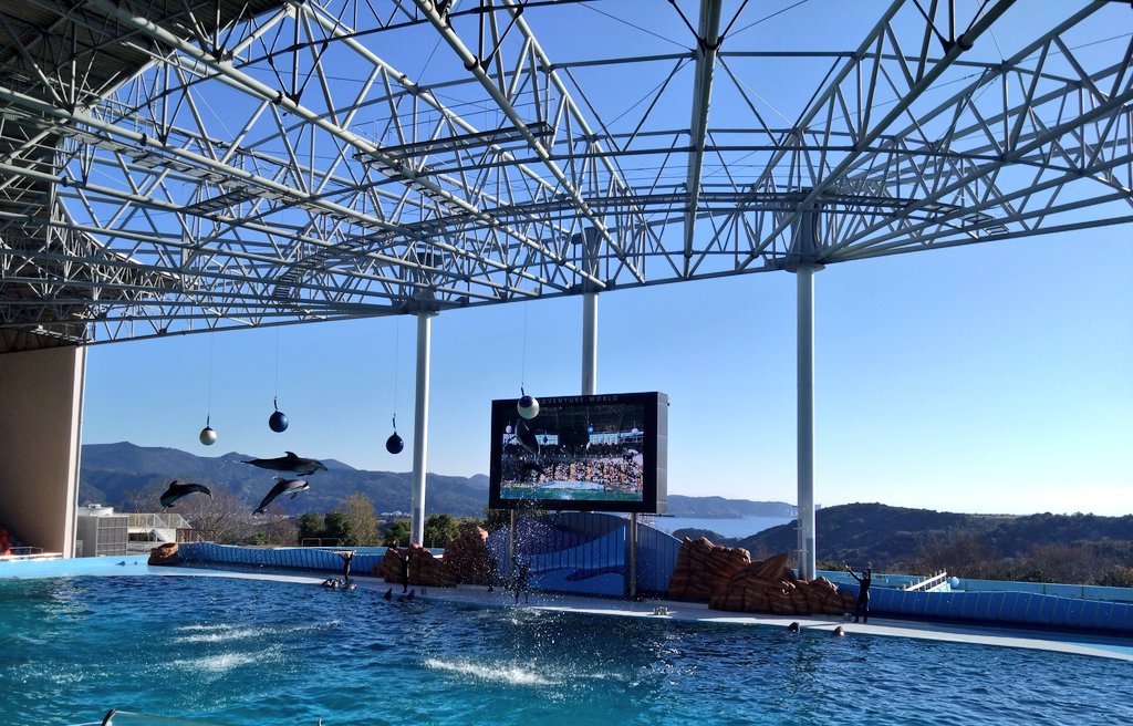 chuandaochunzi's tweet image. この自然の景色を借景している構造が素晴らしく清々しい気分にさせてくれます🐬🐬🐬🐳

28-Dec-25
#イルカ　#クジラ　#Smiles 　#アドベンチャーワールド