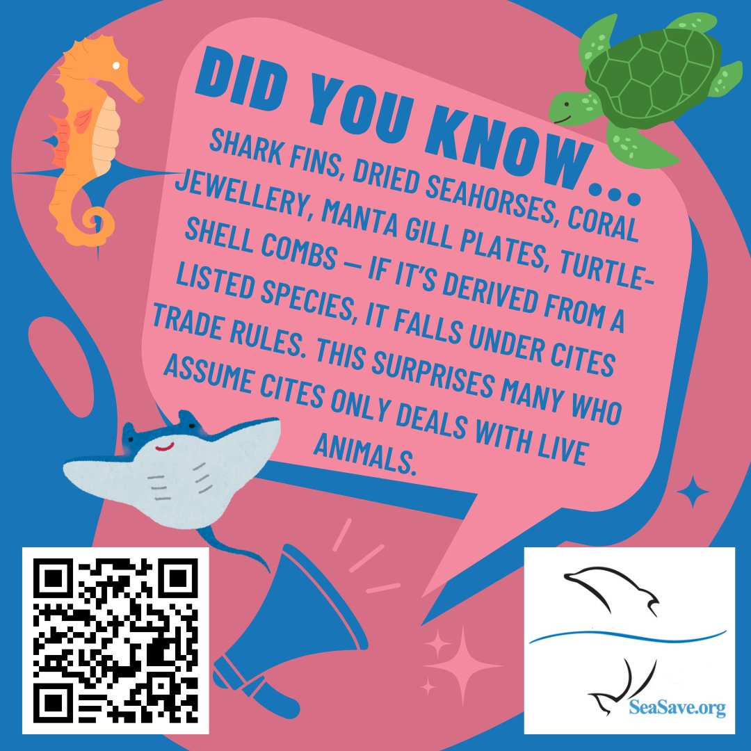 Sea Save Foundation tweet media