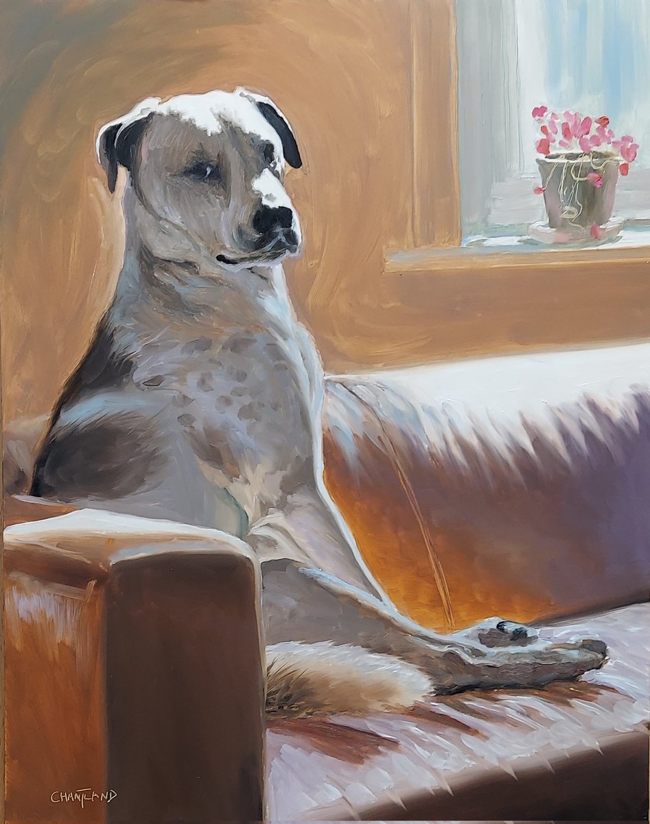 Loren Chantla🇺🇸🇮🇱✡️✝️ tweet media