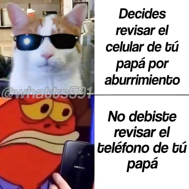 Frases Barbie tweet media