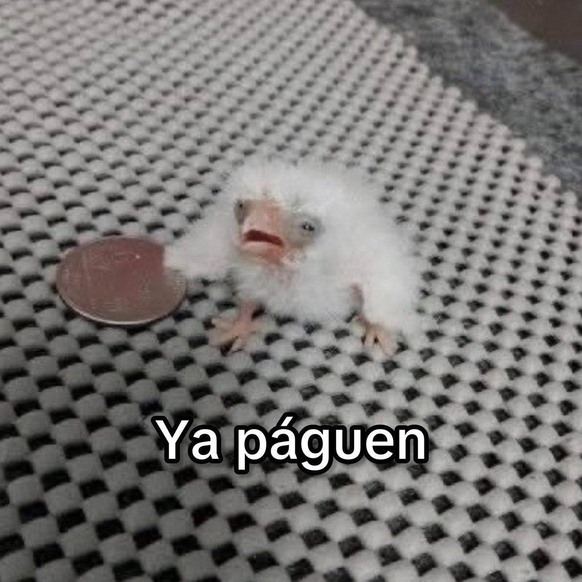 barbie_context's tweet image. ya pofavo