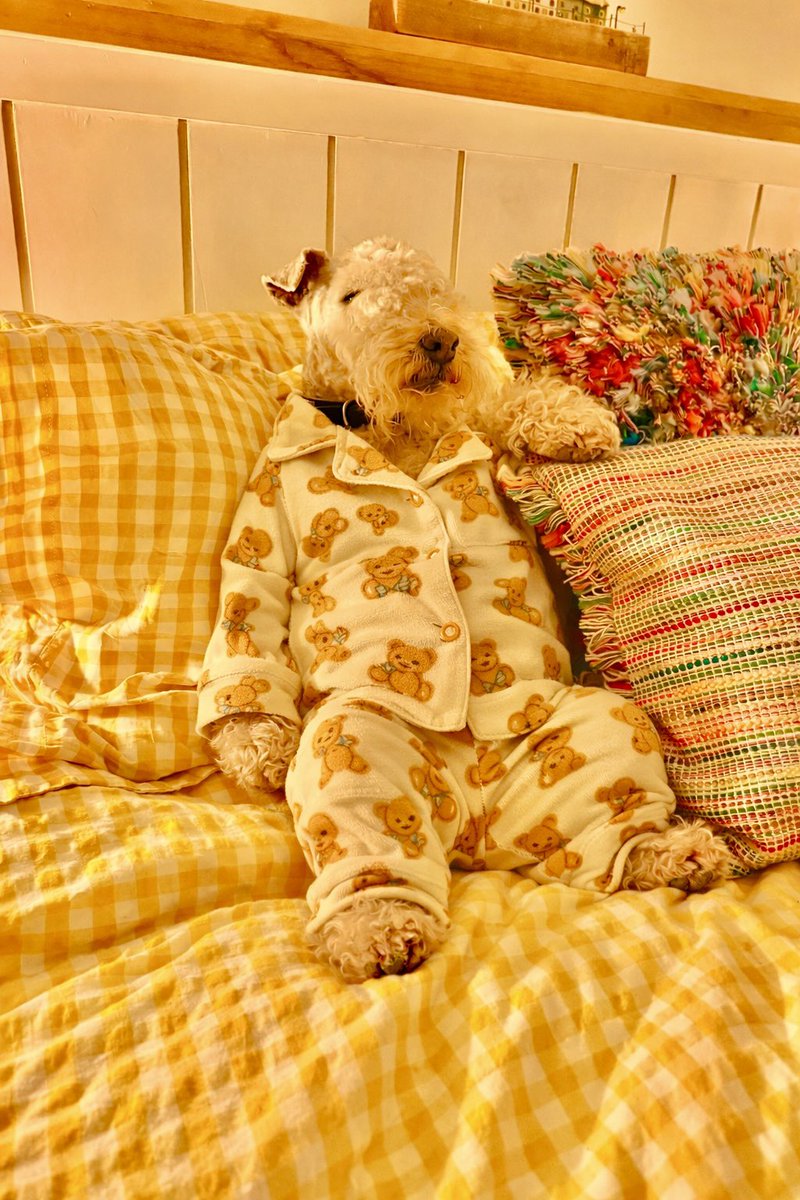 Bertie Lakeland tweet media