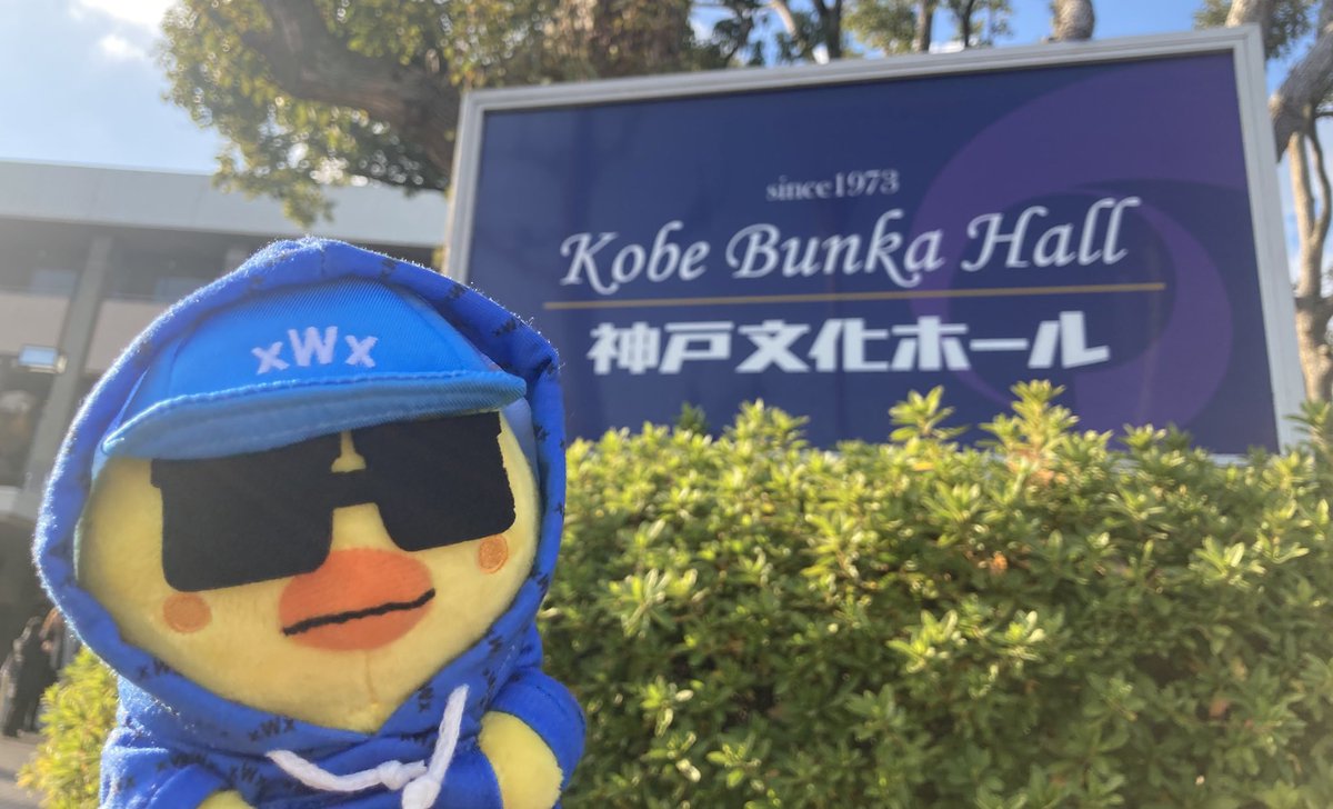 もっち (@mocchi2003) / Posts / X