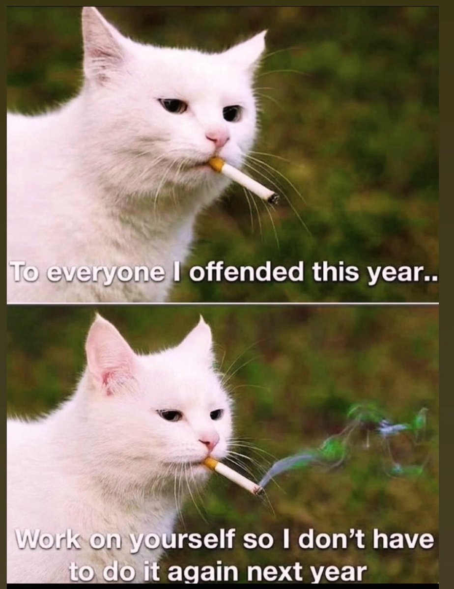 dlsportsnw's tweet image. 