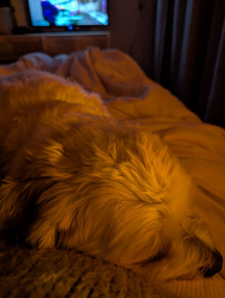 Leuk hoor, vuurwerk. Magneetje, nu al (en prima natuurlijk, maar ook kut voor hem)