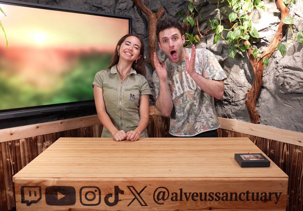 Alveus Sanctuary tweet media