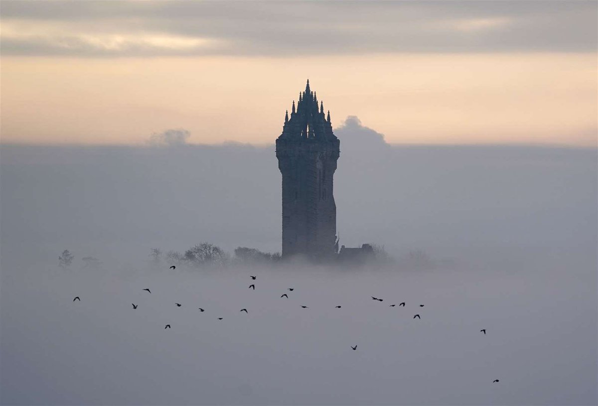 BluebellRaven's tweet photo. The National Wallace Monument in Stirling, Scotland, was a major design inspiration for Victor Frankenstein's cliffside laboratory in Guillermo del Toro's recent Frankenstein film, influencing its silhouette, stone textures, arched architecture, and turreted top. Director del Toro and his team visited the monument in 2023, and its iconic Gothic design became a key element for the film's tower set built in Toronto.