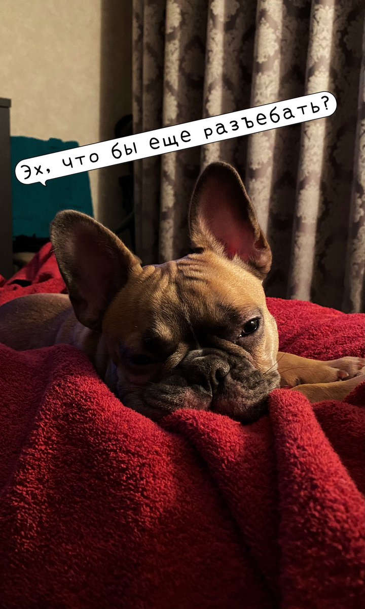 Колдун Ебучий 🐺📷 (@key_taylor) on Twitter photo 