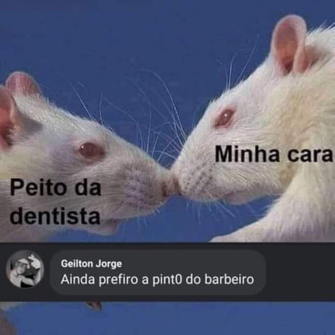 Memes Libidinosos (@memeslibidinoso) on Twitter photo 