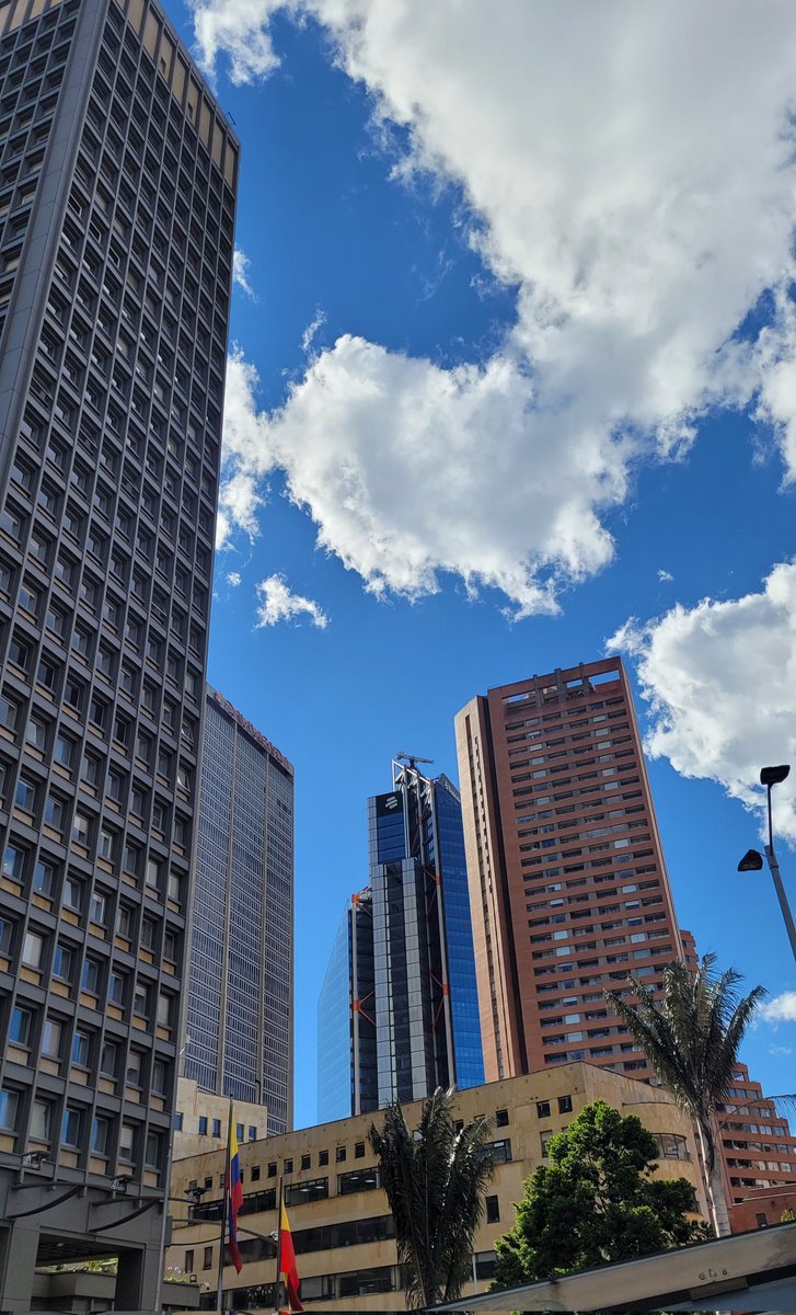 VenteDigo1's tweet photo. Que bien te sienta diciembre Bogotá. https://t.co/sU9ztz7i60
